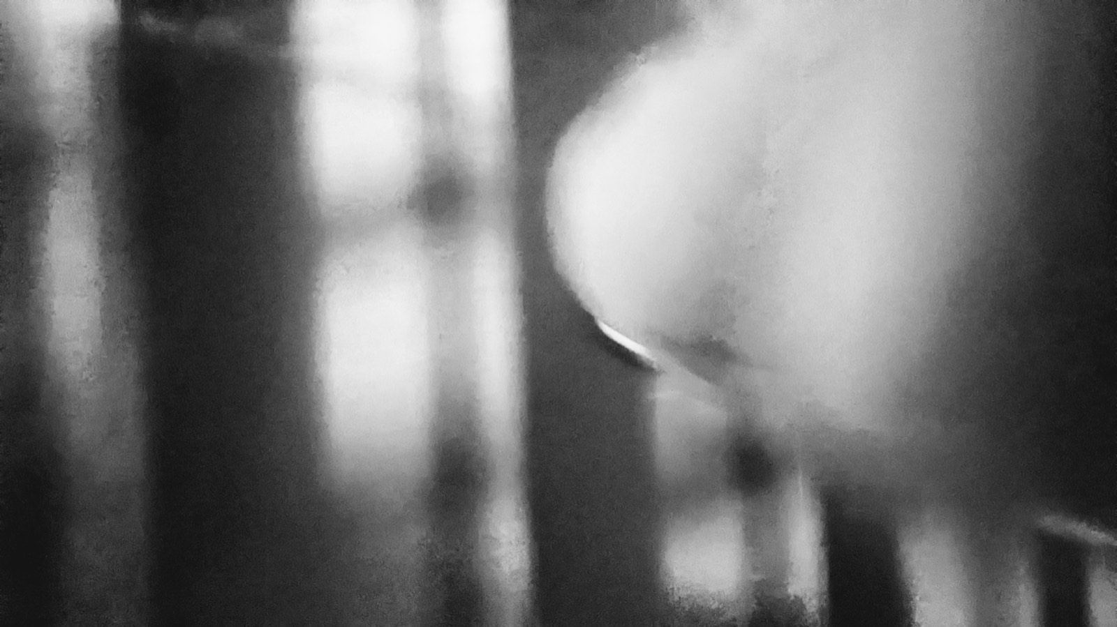 Blurred black and white shapes seen through a window
