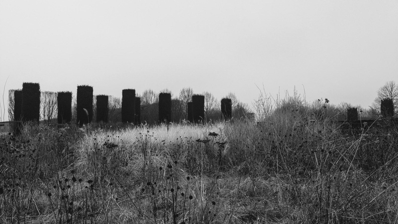 Black and white field with dark standing stones at Venaria Reale, Turin